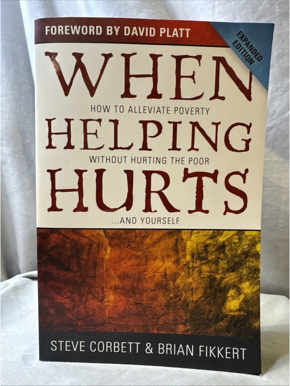 When Helping Hurts by Steve Corbett & Brian Fikkert 2009 Paperback